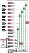 Dynamic Compression